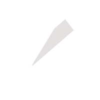 邯郸临时保镖服务